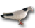 Нет непрочитанных сообщений