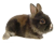 Нет непрочитанных сообщений