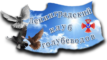 Ленинградский клуб голубеводов