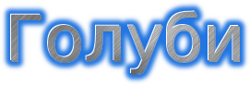 Ленинградский клуб голубеводов