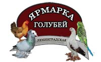 Ленинградский клуб голубеводов