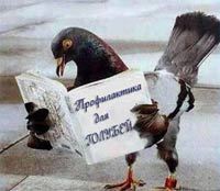 Голуби