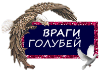 Голуби