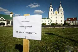 клуб голубеводства